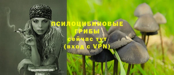 mdma Ельня