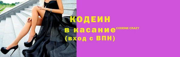 мдпв Елабуга