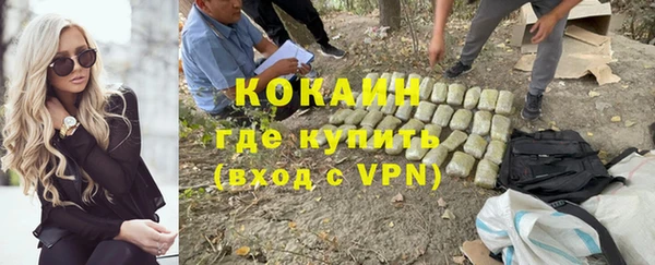 мдпв Елабуга