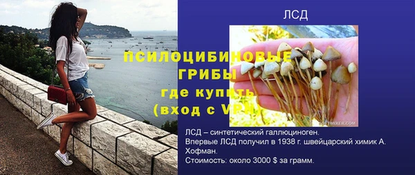 гашик Елизово