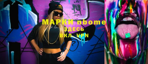 гашик Елизово
