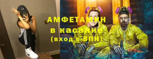 мдпв Елабуга
