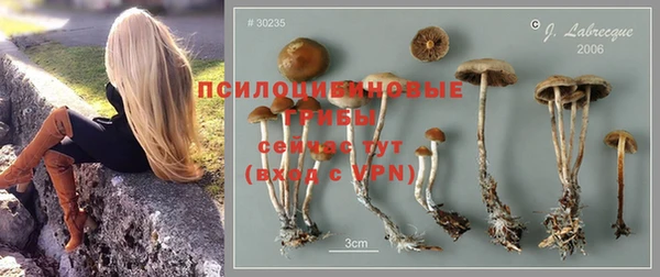 a pvp Валдай