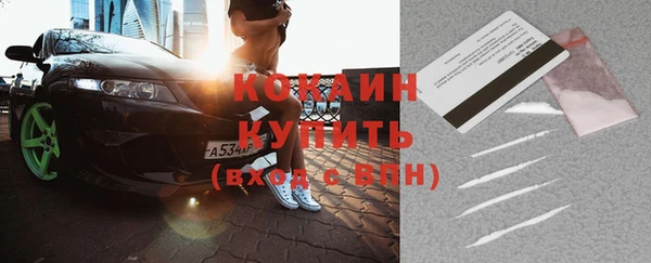 мдпв Елабуга