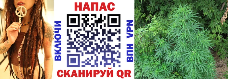 Конопля конопля  Кизляр 